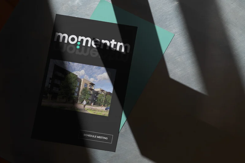 Momentm printed collateral in sunlight